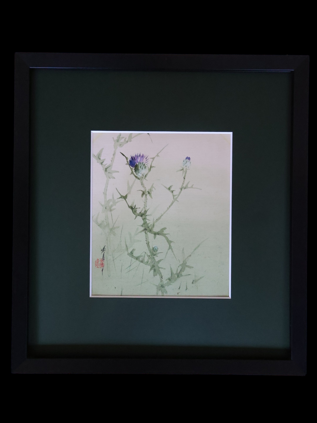IMG_9282-Photoroom (1)